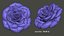 Rose Flower Sculpture Jewelry