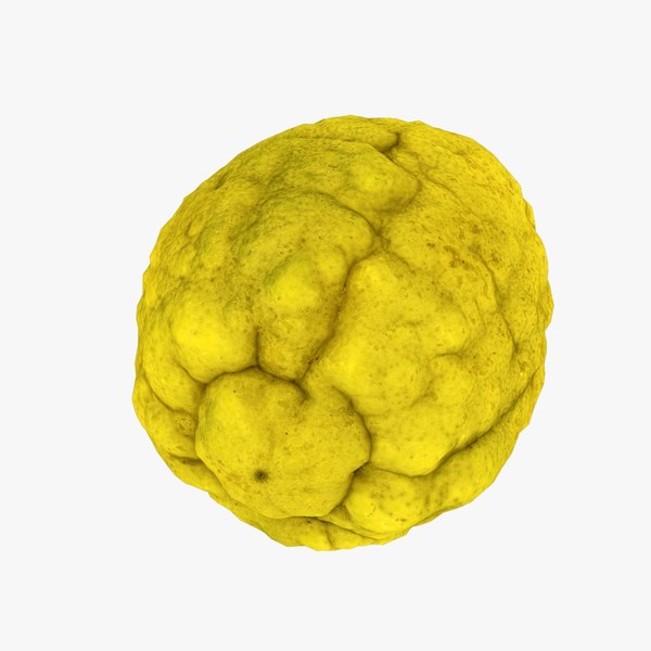 3D model Citron Citrus medica - Real-Time 3D Scanned