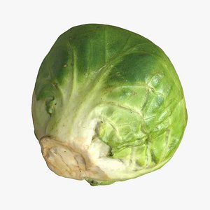 3D Brussels Sprout 3