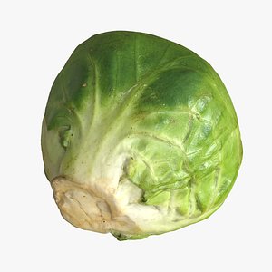 Brussels Sprout 3