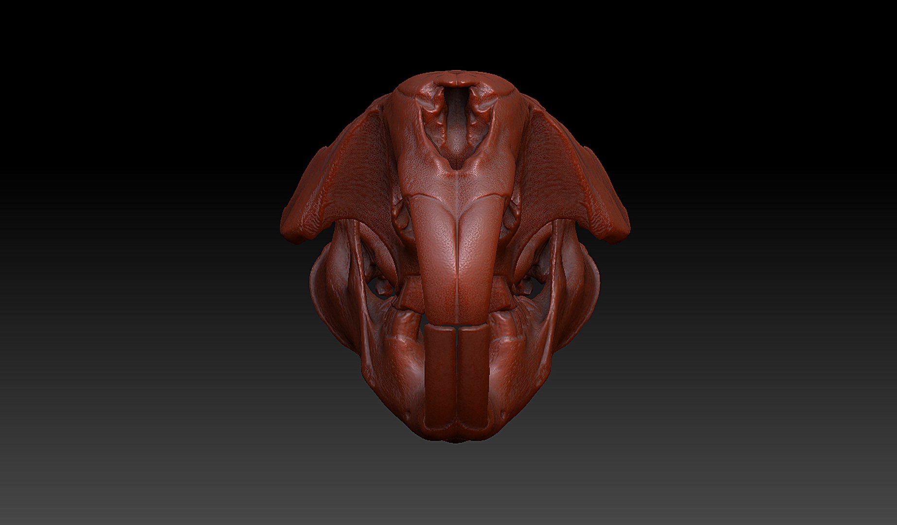 beaver castor skull 3d model https://p.turbosquid.com/ts-thumb/3a/ddtKVK/PEbUj1DO/5/jpg/1395000870/1920x1080/fit_q87/cfa2746f74ce3f85becb8008067a2c6b5bbbd838/5.jpg