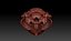 Beaver Skull (Castor canadensis)
