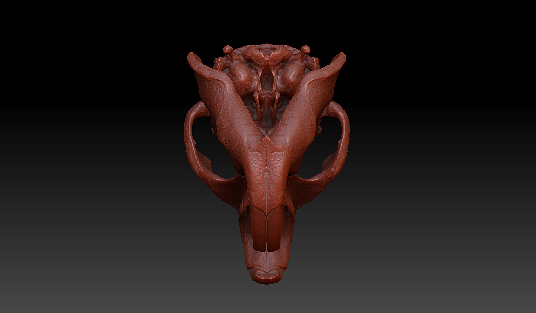 beaver castor skull 3d model https://p.turbosquid.com/ts-thumb/3a/ddtKVK/y3iN4MvD/3/jpg/1395000888/1920x1080/fit_q87/350e81401c17db997bbd4f6df89190dda285ea57/3.jpg
