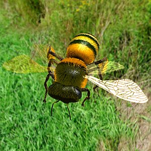 max bee lightwave honey