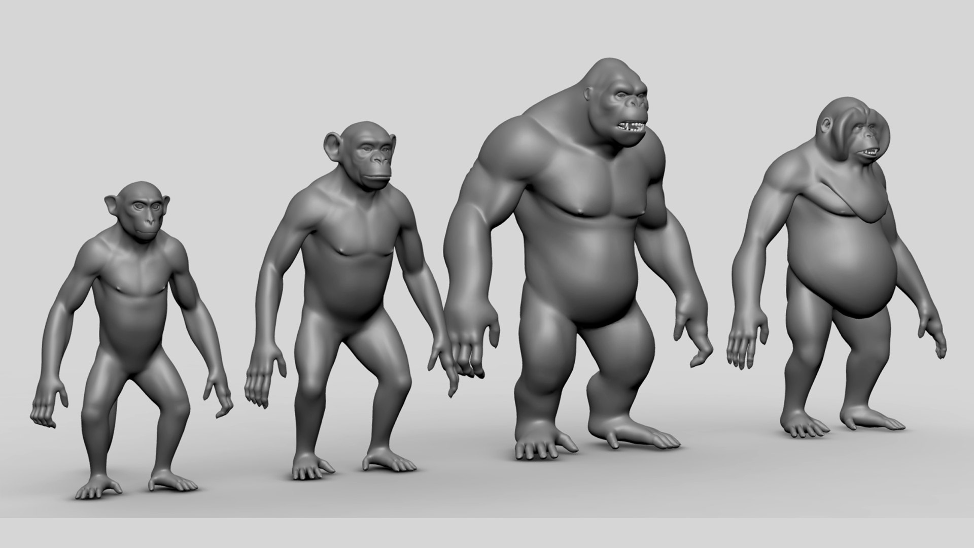3D Primate Basemesh https://p.turbosquid.com/ts-thumb/3a/iPQ5TW/c4/3/jpg/1716996029/1920x1080/fit_q87/f94119b37593fa9d6ea3bab2c7d474d5c7751711/3.jpg