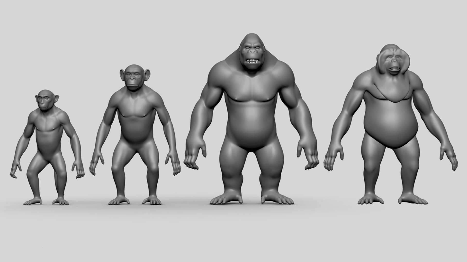 3D Primate Basemesh https://p.turbosquid.com/ts-thumb/3a/iPQ5TW/f5/1/jpg/1716996028/1920x1080/fit_q87/a18aed053e96d876faf8aef9ac3c66b19858fd5d/1.jpg
