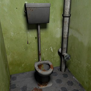 Dirty toilet