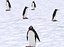 Lowpoly动画企鹅