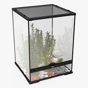 Tall Terrarium for Reptiles with Iguana