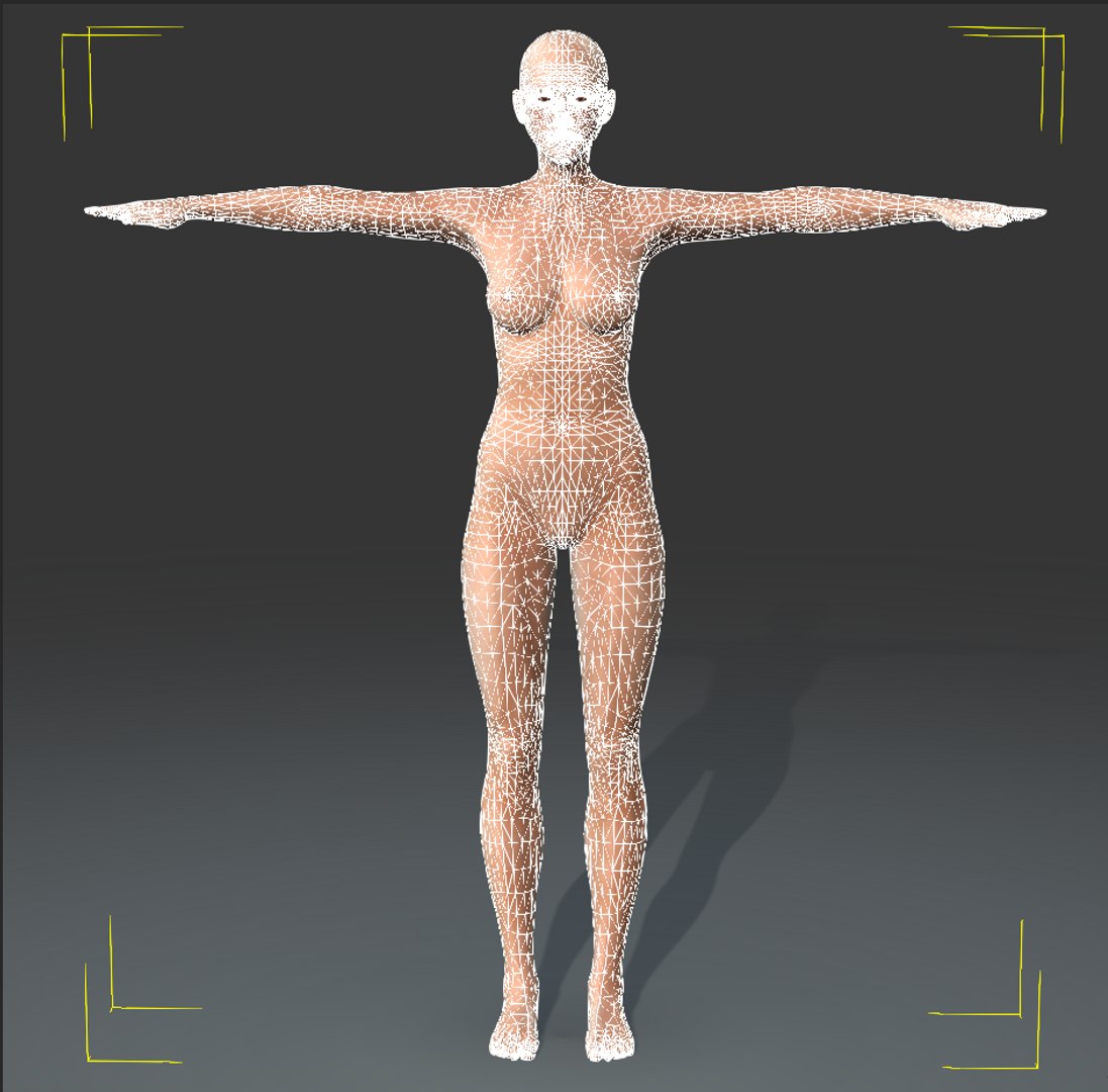 Intp Women Myeers 3d Obj