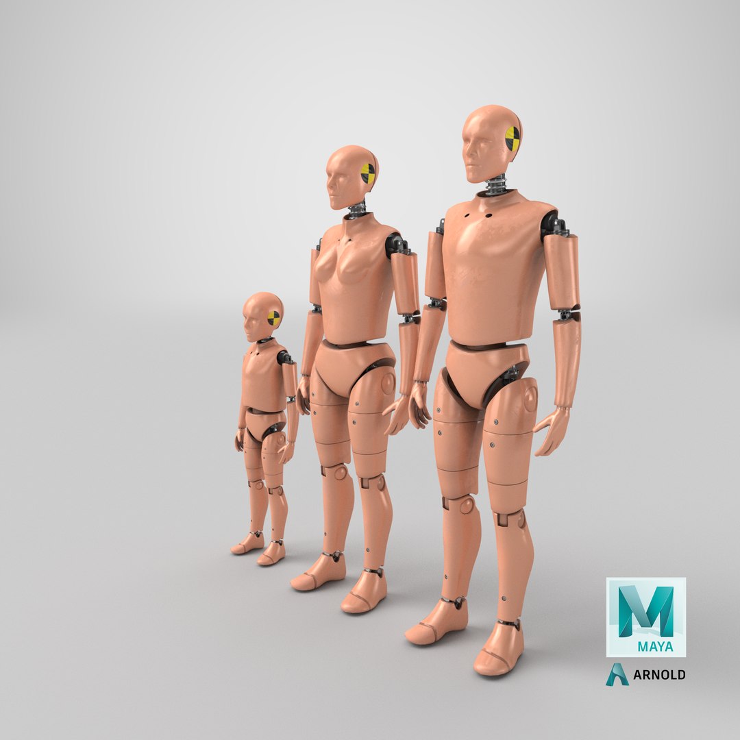 3D model crash test dummy https://p.turbosquid.com/ts-thumb/3b/3k6Q46/OzOOVWK2/stemcell_maya_arnold_render/png/1603623508/1920x1080/fit_q87/d1296486e77dd966325d0bfa51882f7a985a486e/stemcell_maya_arnold_render.jpg