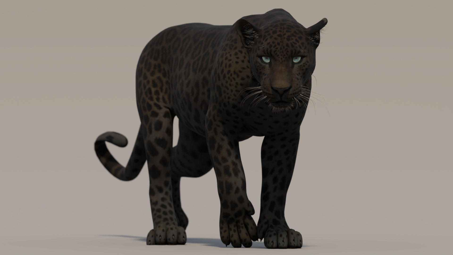 3D Animated Black Panther 3D Model https://p.turbosquid.com/ts-thumb/3b/6nsHW9/72/riggedsrilankanleopard3dmodelwalking/jpg/1741803027/1920x1080/turn_fit_q99/6cbc4f123b627a102bb371c3ee81b6193ac9cb89/riggedsrilankanleopard3dmodelwalking-1.jpg