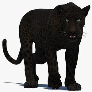 3D Animated Black Panther 3D Model