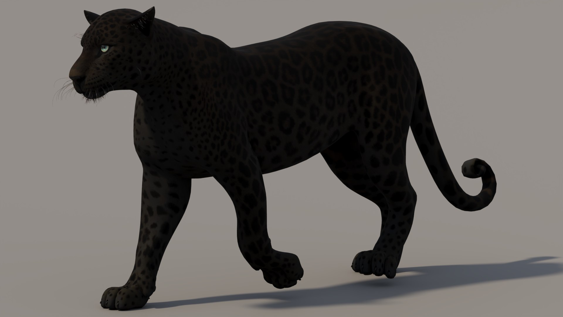 3D Animated Black Panther 3D Model https://p.turbosquid.com/ts-thumb/3b/6nsHW9/JQ/animatedblackpanther3dmodel04/jpg/1741801830/1920x1080/fit_q87/22ad249195ddfd8e0657cffae4113ac1249561ad/animatedblackpanther3dmodel04.jpg