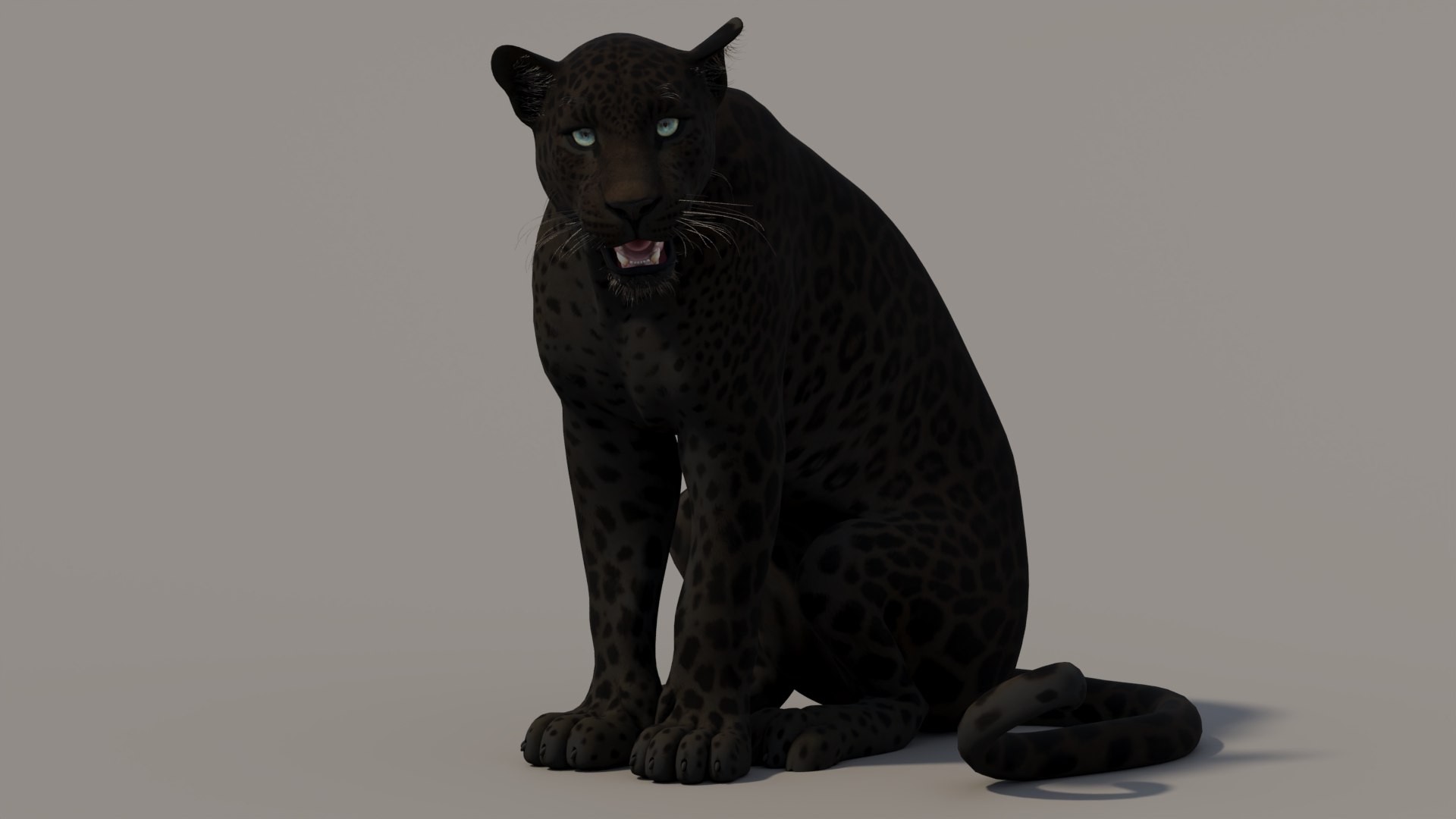 3D Animated Black Panther 3D Model https://p.turbosquid.com/ts-thumb/3b/6nsHW9/tw/animatedblackpanther3dmodel10/jpg/1741801833/1920x1080/fit_q87/c2ddb6d265de0cf4a22558f8d9176453e7c63122/animatedblackpanther3dmodel10.jpg