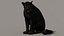 Modello 3D animato di Black Panther