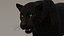 Modello 3D animato di Black Panther