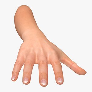 Female Arm A (Textured)