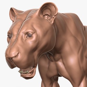 Lion Primary Forms Zbrush Sculpt model