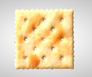 saltine cracker