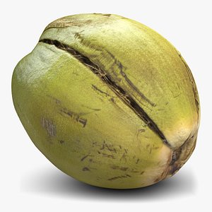 3ds green coconut 2
