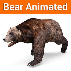 brown bear animation 3D
