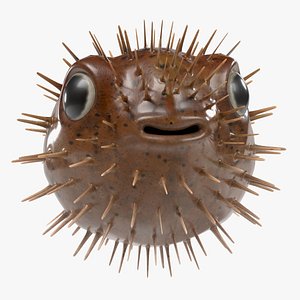Diodon Holocanthus