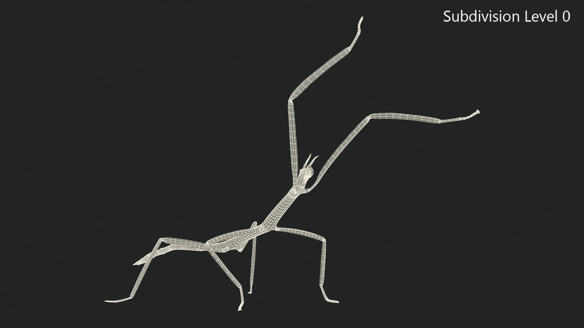 phasmatodea stick insect attack model https://p.turbosquid.com/ts-thumb/3b/cK9U7o/CtwCt2EF/phasmatodeastickinsectattack3dmodel013/jpg/1573816044/1920x1080/fit_q87/ed69998380fb4d49393b55a8d2ee59e6a906d863/phasmatodeastickinsectattack3dmodel013.jpg