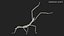 Phasmatodea Stick Insect Attack