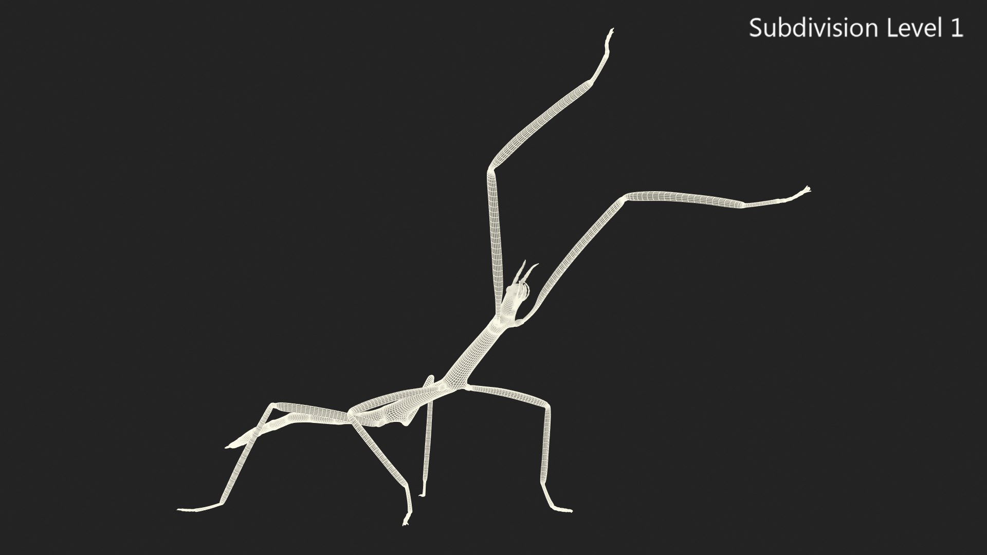 phasmatodea stick insect attack model https://p.turbosquid.com/ts-thumb/3b/cK9U7o/DoTvT6F4/phasmatodeastickinsectattack3dmodel014/jpg/1573816048/1920x1080/fit_q87/7a9ec2271eaa52aee420e9a9bc84d099623722ec/phasmatodeastickinsectattack3dmodel014.jpg