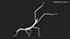 Phasmatodea Stick Insect Attack