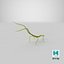 Phasmatodea Stick Insect Attack
