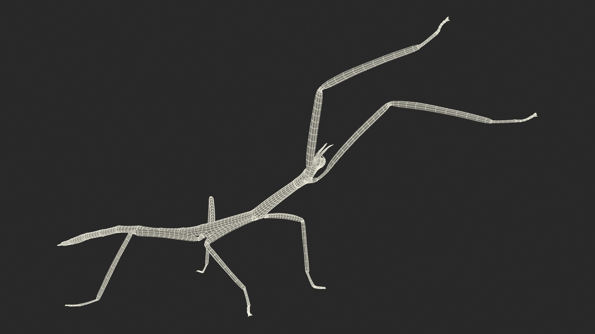 phasmatodea stick insect attack model https://p.turbosquid.com/ts-thumb/3b/cK9U7o/hCHKCYR3/phasmatodeastickinsectattack3dmodel020/jpg/1573816078/1920x1080/fit_q87/77cef8576b14daff2ddf20d5a38e2efaf81308d7/phasmatodeastickinsectattack3dmodel020.jpg