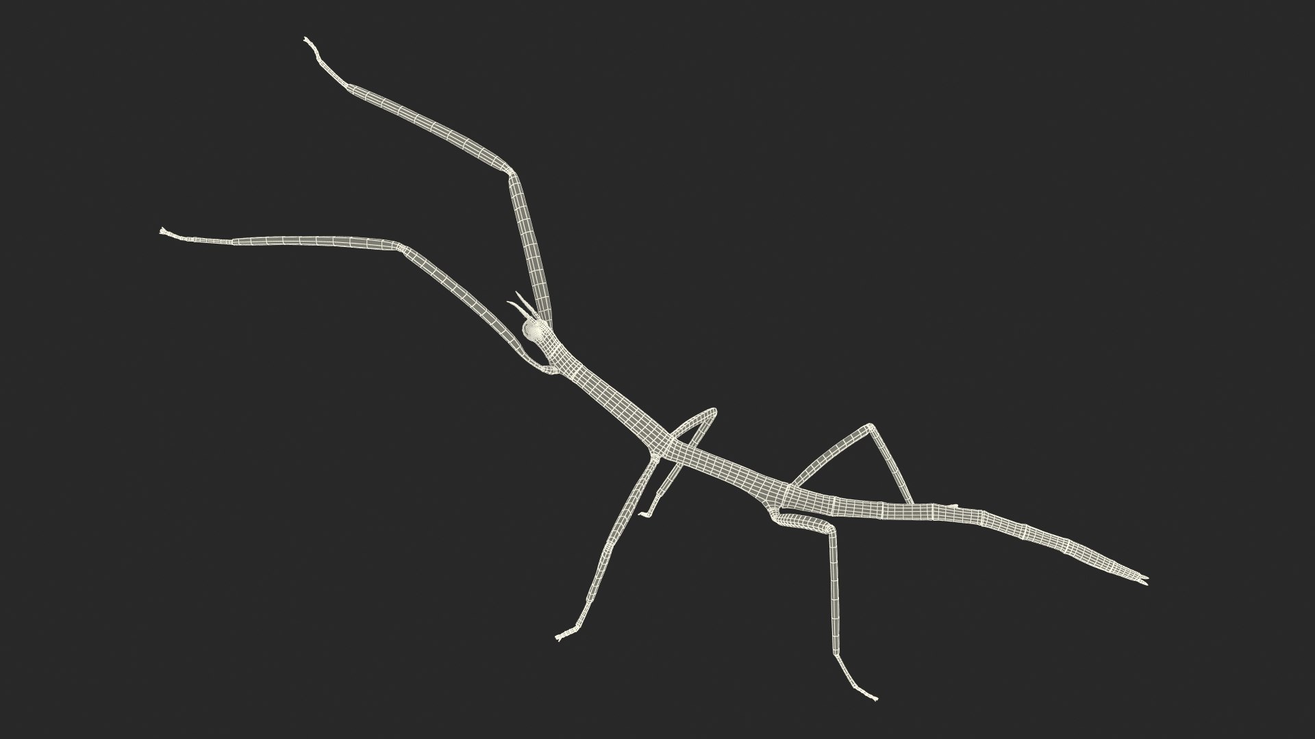 phasmatodea stick insect attack model https://p.turbosquid.com/ts-thumb/3b/cK9U7o/kl1i636G/phasmatodeastickinsectattack3dmodel021/jpg/1573816083/1920x1080/fit_q87/fa06c6518df9aa51c8daed3992bce78f3e59c61e/phasmatodeastickinsectattack3dmodel021.jpg