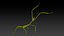 Phasmatodea Stick Insect Attack