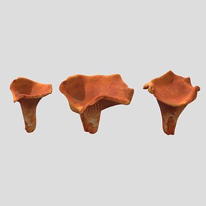 3D model Lobster Mushroom Low Poly
