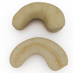 cashew modelled 3d obj