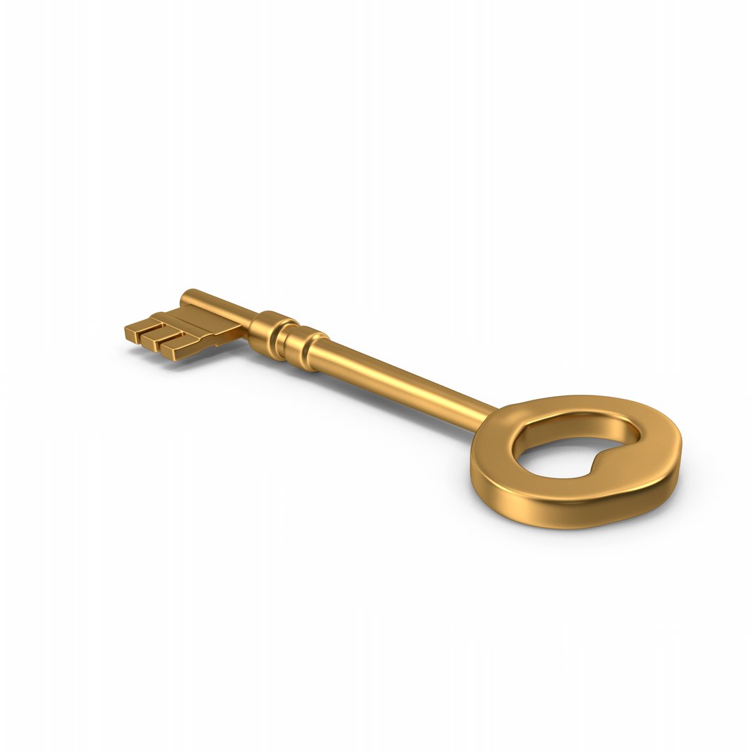 Key 3D Model - TurboSquid 2318595
