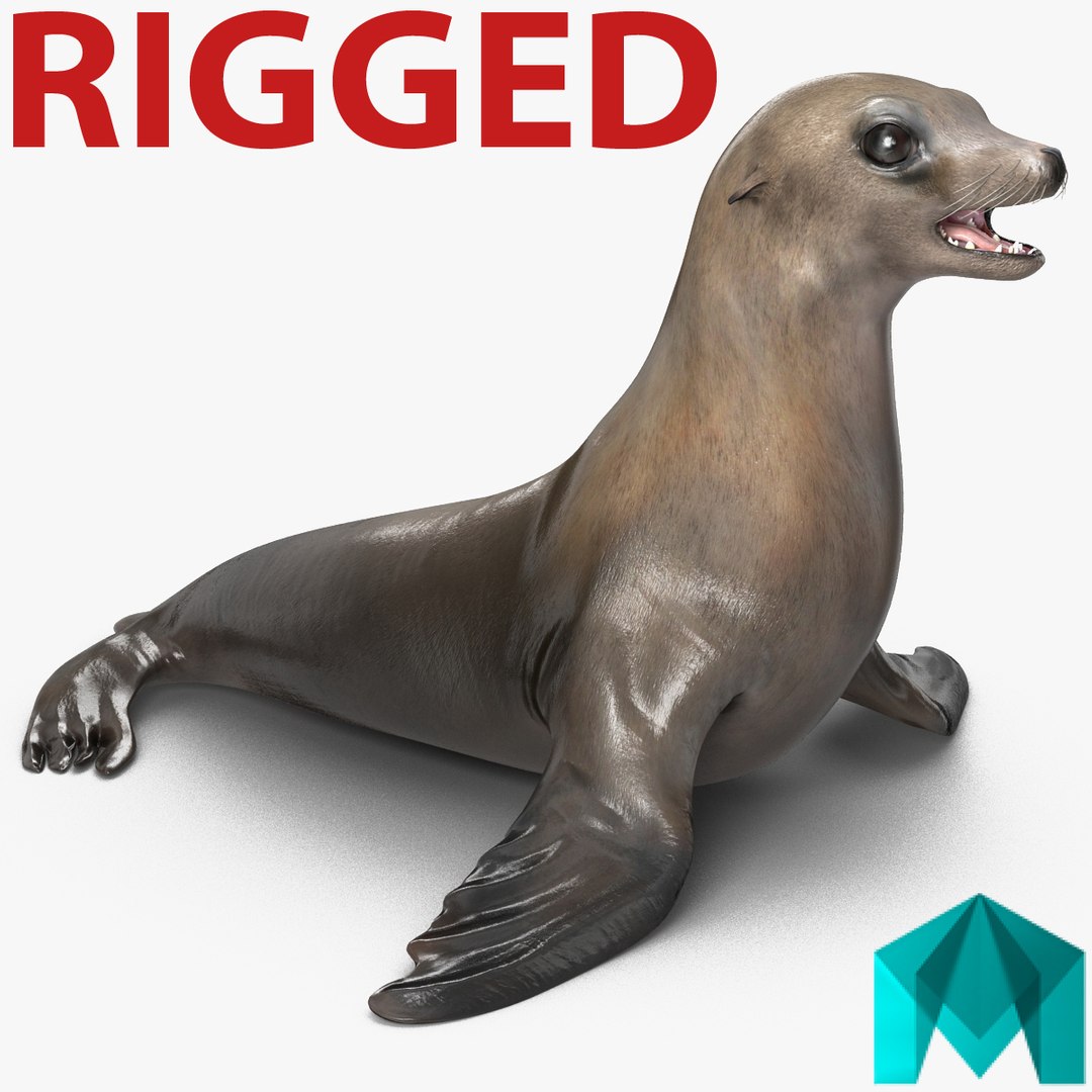 Sea Lion Rigged for Maya 3D model preview