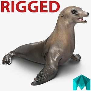 3d sea lion rigged
