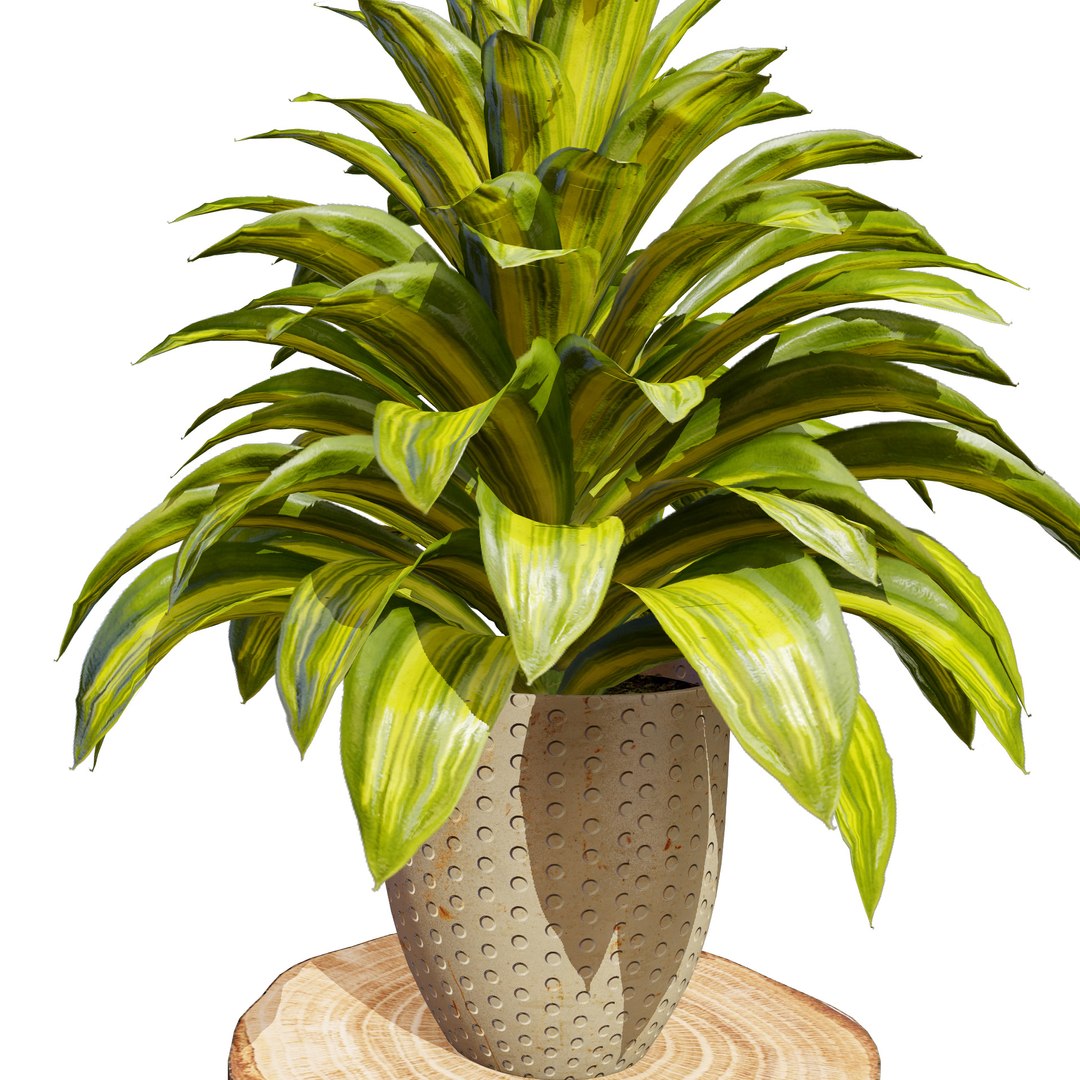 3D Realistic Corn Plant Asset Model - TurboSquid 2283365