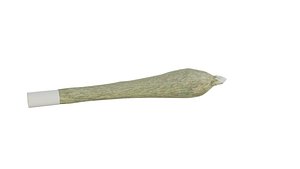 3D model marijuana cigarette