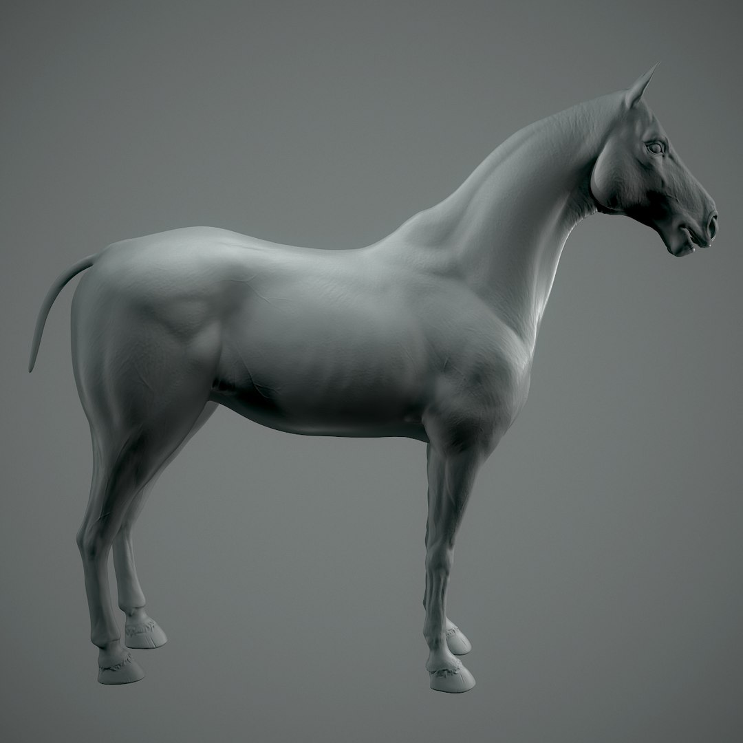 3D base horse retopo model https://p.turbosquid.com/ts-thumb/3c/KqctRV/Lc9OPSyu/horse_02_1200x1200/jpg/1516730803/1920x1080/fit_q87/e7cfb86ce1f6a7c9dc7a29b8bea9eb9e260b247e/horse_02_1200x1200.jpg