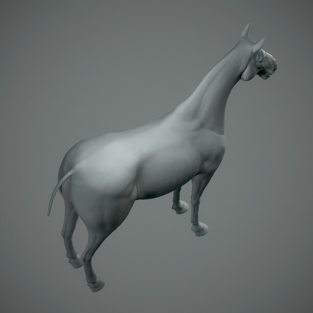 3D base horse retopo model https://p.turbosquid.com/ts-thumb/3c/KqctRV/Pki5hRFP/horse_03_1200x1200/jpg/1516730820/1920x1080/fit_q87/4fa3d74847f2a50dd74c4f068bf5d2cab2b62d55/horse_03_1200x1200.jpg