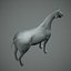 Horse base model+retopo