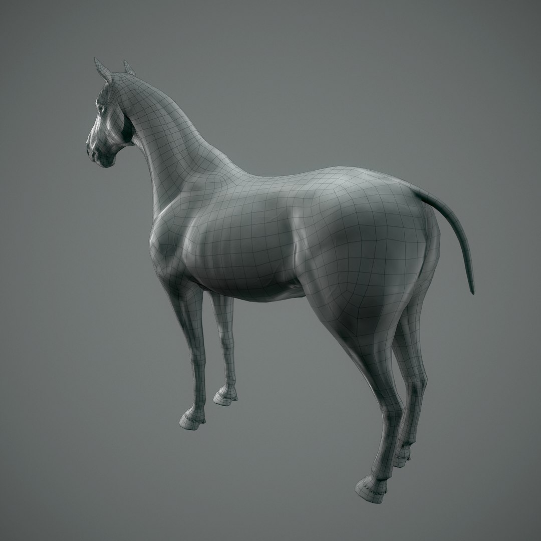 3D base horse retopo model https://p.turbosquid.com/ts-thumb/3c/KqctRV/ROSeYoL7/horse_06_1200x1200/jpg/1516730946/1920x1080/fit_q87/38cc7ebd5db25da39afecbfb179e281beb32d93d/horse_06_1200x1200.jpg