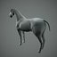Horse base model+retopo