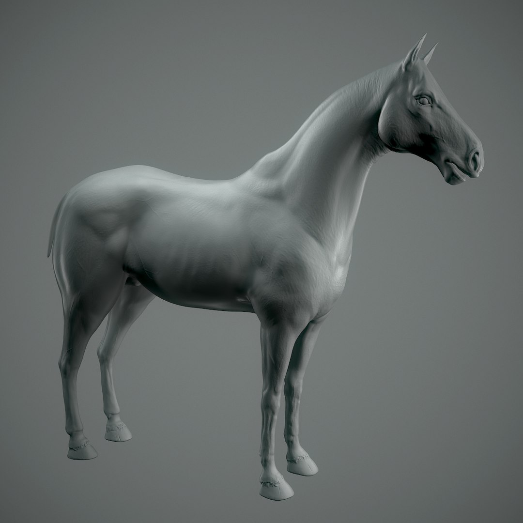 3D base horse retopo model https://p.turbosquid.com/ts-thumb/3c/KqctRV/jMUInP4U/horse_01_1200x1200/jpg/1516730789/1920x1080/fit_q87/de76d5f93a10048b5f369eb175be20ea238ada2e/horse_01_1200x1200.jpg