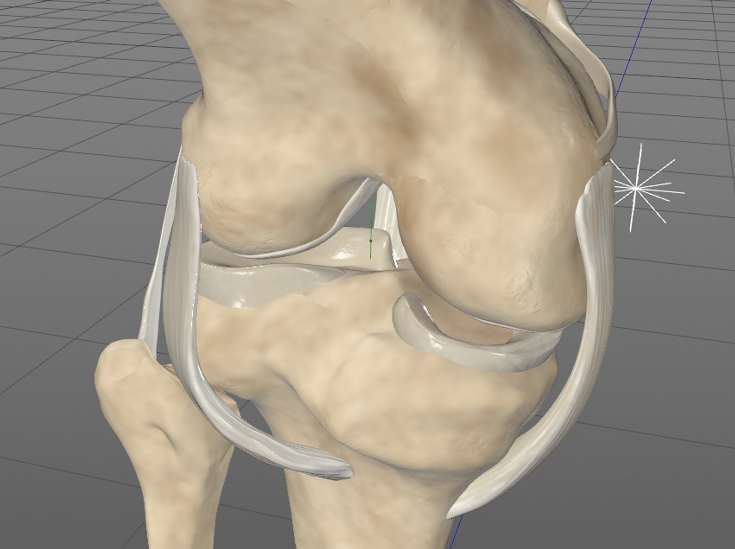 knee 3D https://p.turbosquid.com/ts-thumb/3c/LMWlvG/qrefEaa3/knee5/png/1531805759/1920x1080/fit_q87/1fb66a7bf1846d185df9f72bd56d7c9727bc8057/knee5.jpg