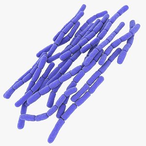 Bacillus Anthracis model